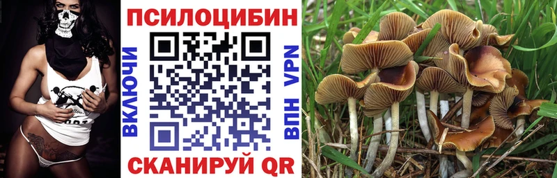 ссылка на мегу маркетплейс  Вилюйск  Псилоцибиновые грибы Magic Shrooms 