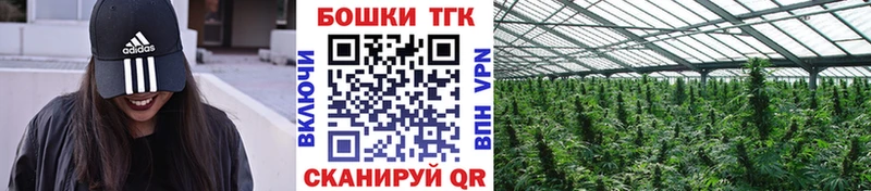 Конопля SATIVA & INDICA  Вилюйск 